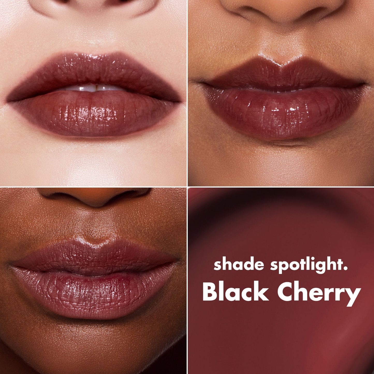 lip-lacquer-i2 0426_EDU_LipLaquer_ShadeChart_BlackCherry.jpg