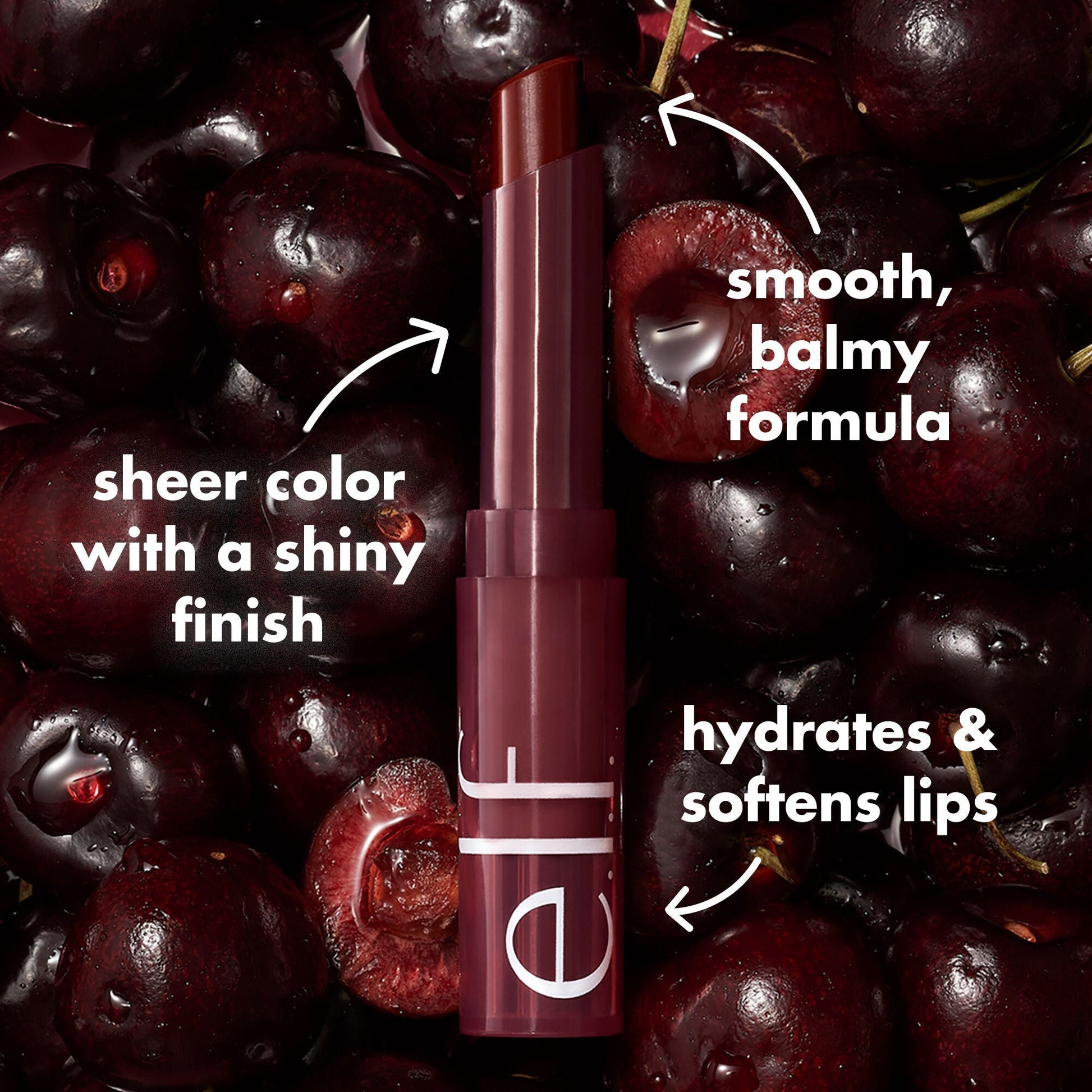 sheer-slick-lipstick-black-cherry-black-cherry-x2 0723_EDU_PDP_SHEERSLICK_BLACKCHERRY_PRODUCTINFO.jpg