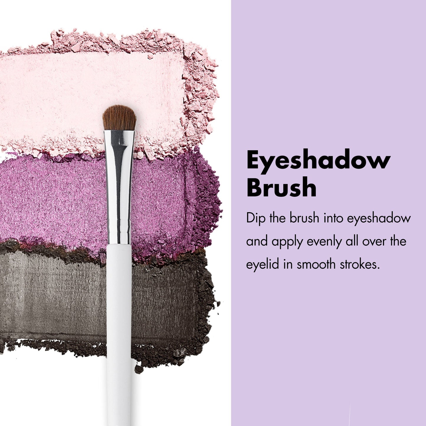professional-set-of-12-makeup-brushes-n8 ProfessionalBrushes_Eye_EyeshadowBrush_PDP_Edu_2000x2000_2418e3b8-bb65-4e6d-af53-e6d0aab002ae.jpg